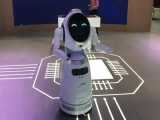 ویدئویی از ربات جی‌اس‌اس که با برند یوبی‌تک (ubtech) تولید می‌شود 