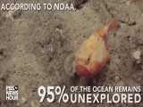 شگفتیهای کف دریا-موجودات عجیبی که در بستر دریا،یا اقیانوس زندگی میکنند 1 