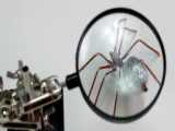 چطور یک ربات عنکبوتی کنترل دار بسازید؟ 