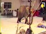 تصاویری دردناک از کشتن فیلی که مربیش را کشت + فیلم