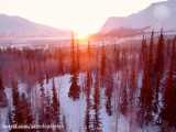 شفق‌های قطبی و رویای سرزمین شمالگان