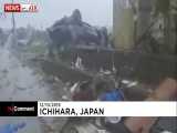 خسارت های طوفان هاگی  بیس در ژاپن