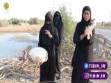وضعیت زائران اربعین حسینی از مرز ایران- عراق