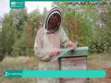 زنبورداری از مبتدی تا حرفه ای - www.118file.com