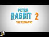 انیمیشن پیتر خرگوشه2