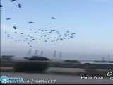 کلیپ کبوتران عادل عواد قهرمان کویت