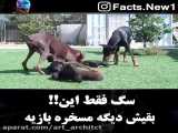تجربه جالب توجه ما