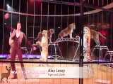 کلیپ زیبا و تماشائی از حرکات نمایشی  شیر و  ببر در سیرک