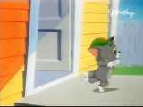 کارتون تام و جری (موش و گربه) قسمت 307