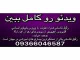 تناسلی زنگ زنده