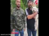 نجات سگ نگون‌بخت از چنگال زن تهرانی / اقدام بی رحمانه ای که همه را خشمگین کرد