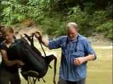 دنیای شگفت انگیز حیوانات - شکار عقرب - UHV Scorpion Hunt