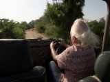 دنیای حیوانات - به دنبال پلنگ در راجستان - Following Leopards in Rajasthan