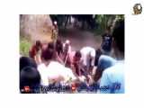 ویدئویی عجیب از سربریدن یک گاو سفید در بنگلادش و زنده شدن مجددش...!