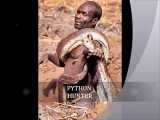 بومیان افریقایی بازوی فردی را در پوششی از پوست گوزن می پیچند و داخل سوراخ مار پی