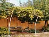 فصل پاییز