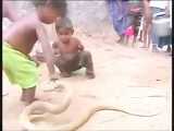 مار کبری بازیچه کودکان هندی