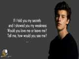 آهنگ Shawn Mendes - Love Me Or Leave