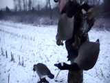 شکار پرنده و خوردنش توسط یک مرد در زمستان
