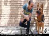طنز حسن ریوندی و سگش