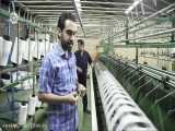مستند « تولد یک رویا » (فصل دوم) ، گروه تولیدی صنعتی تهرانی
