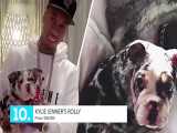 تاپ تایم - 10 سگ گرانقیمت دنیا
