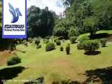 باغ گیاه شناسی سلطنتی در کندی سریلانکا