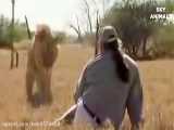 Amazing Wild Animals Attacks - Wild Animal Fights Caught On Camera | s