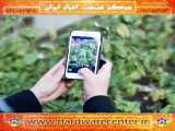 تشخیص بیماری‌های گیاهی با استفاده از تکنولوژی موبایل