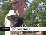 کمک کلاغ‌ها به جمع‌ آوری ته‌سیگارها در فرانسه