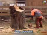 آموزش ساخت وسایل خلاقانه از چوب بدرد نخور