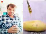 مبارزه موش ها علیه گربه ها