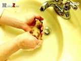 خرگوش های دوست داشتنی
