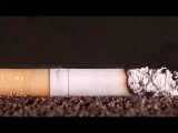مضرات دخانیات 1 : استاد رائفی پور