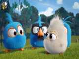 انیمیشن پرندگان خشمگین آبی :: فصل 1 قسمت 14 Angry Birds Blues