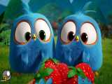 انیمیشن پرندگان خشمگین آبی :: فصل 1 قسمت 21 Angry Birds Blues