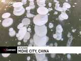 حباب‌های یخ‌زده در دریاچه لیان‌هوا در چین