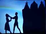 تجربه زندگی زیر سایه ها