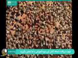 درمان بیماری فلج زنبوری قسمت 2