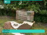 پرورش زنبورهای عسل - 118فایل 