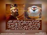 صداگذار: زهرا شیراحمدی