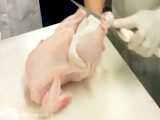 چگونه استخوان مرغ را بدون قطعه قطعه کردن جدا کنید