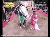 خوابوندن اسب توسط حمید نصوحی اجرا در یونارت اصفهان