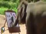 فیلی که نقاشی می کشد