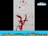 مدل شب زنانه با شماره cu144 را تغییر دهید
