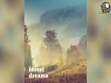 آهنگ جدید امبینت آرامش بخش و عمیق Succession اثری از Forest Dreams