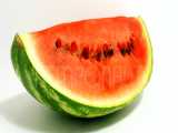 تایم لپس شگفت انگیز هندوانه - Rotting Watermelon Timelapse