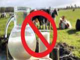 ممنوع شدن فروش شیر اورگانیک !!