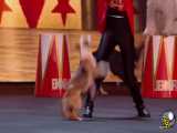 اجرای فوق العاده سگهای دست آموز در شوی استعدادیابی بریتانیا ۲۰‍‍‍‍۱۹