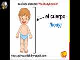 اعضای بدن در زبان اسپانیایی